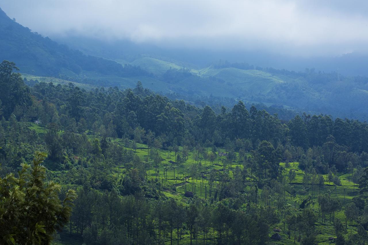 Mount View Munnar Hotel Exterior foto